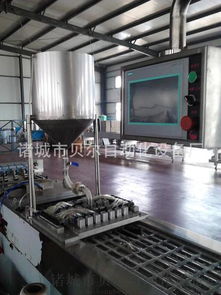 重庆快速真空包装机厂家直销LZ1200型全系列包装设备