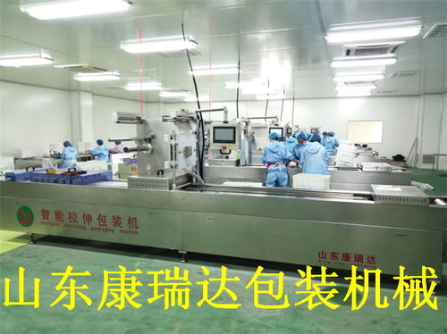 鸭脖全自动连续真空包装机哪家好？山东康瑞达，诚信商家诚包装机械的优秀选择