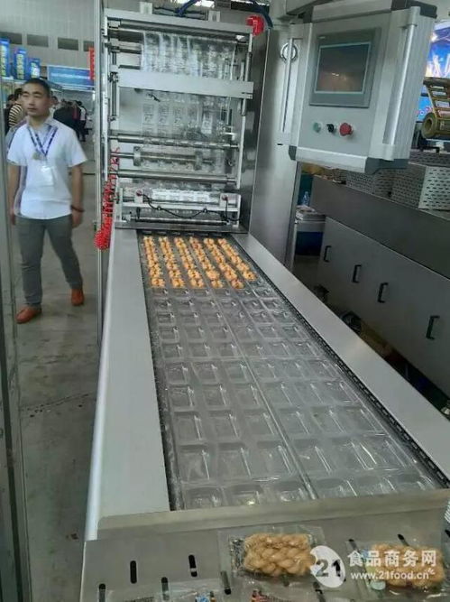 山东厂家直销 高效可靠的地瓜干休闲食品真空包装设备解决方案